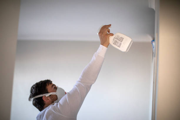 Best Bathroom Mold Remediation in Santa Maria, CA
