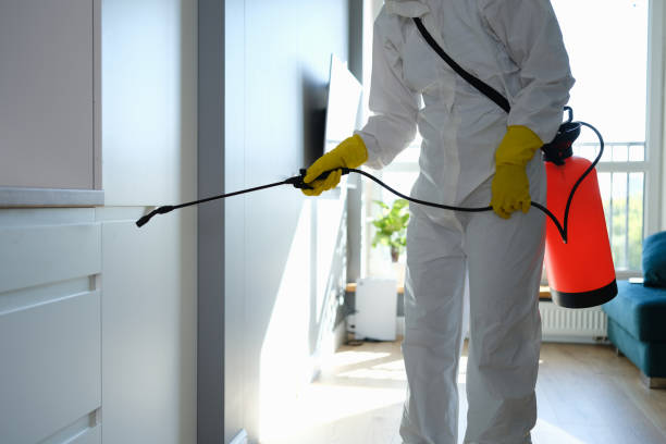 Best Attic Mold Remediation in Santa Maria, CA