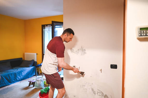 Professional Mold Remediation in Santa Maria, CA